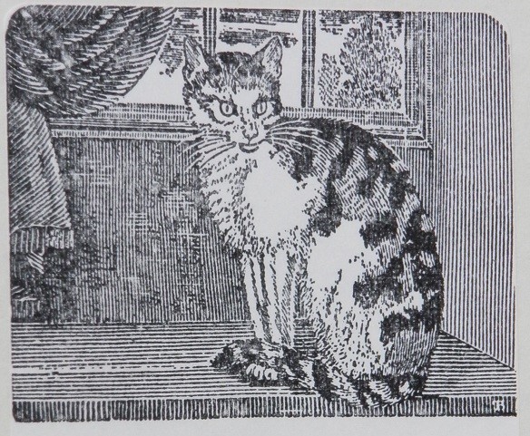 Engraving of cat from James Campbell's bookplate