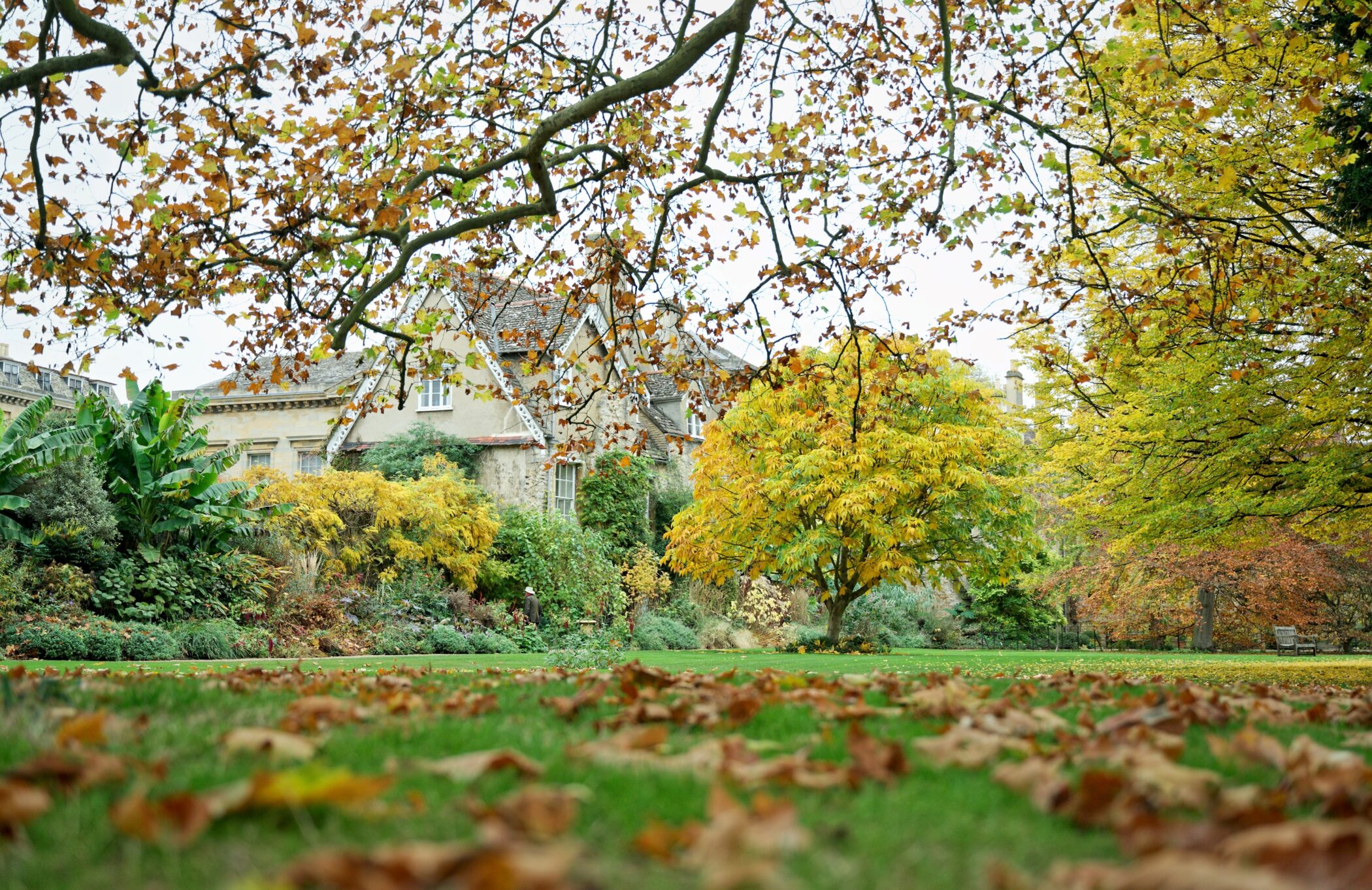 Nuffield Lawn in autumn