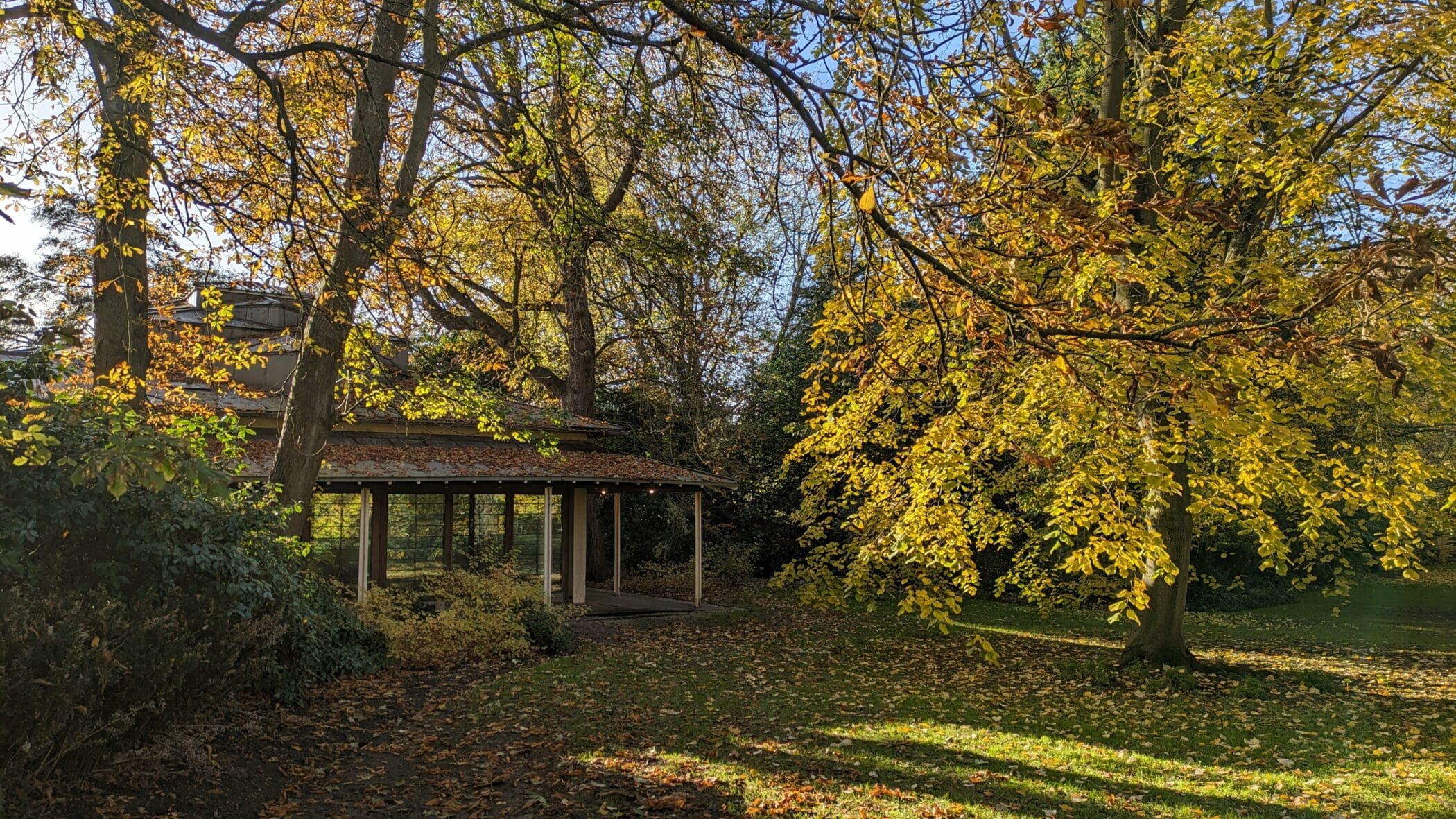 Linbury Building surrounded by autumnal trees