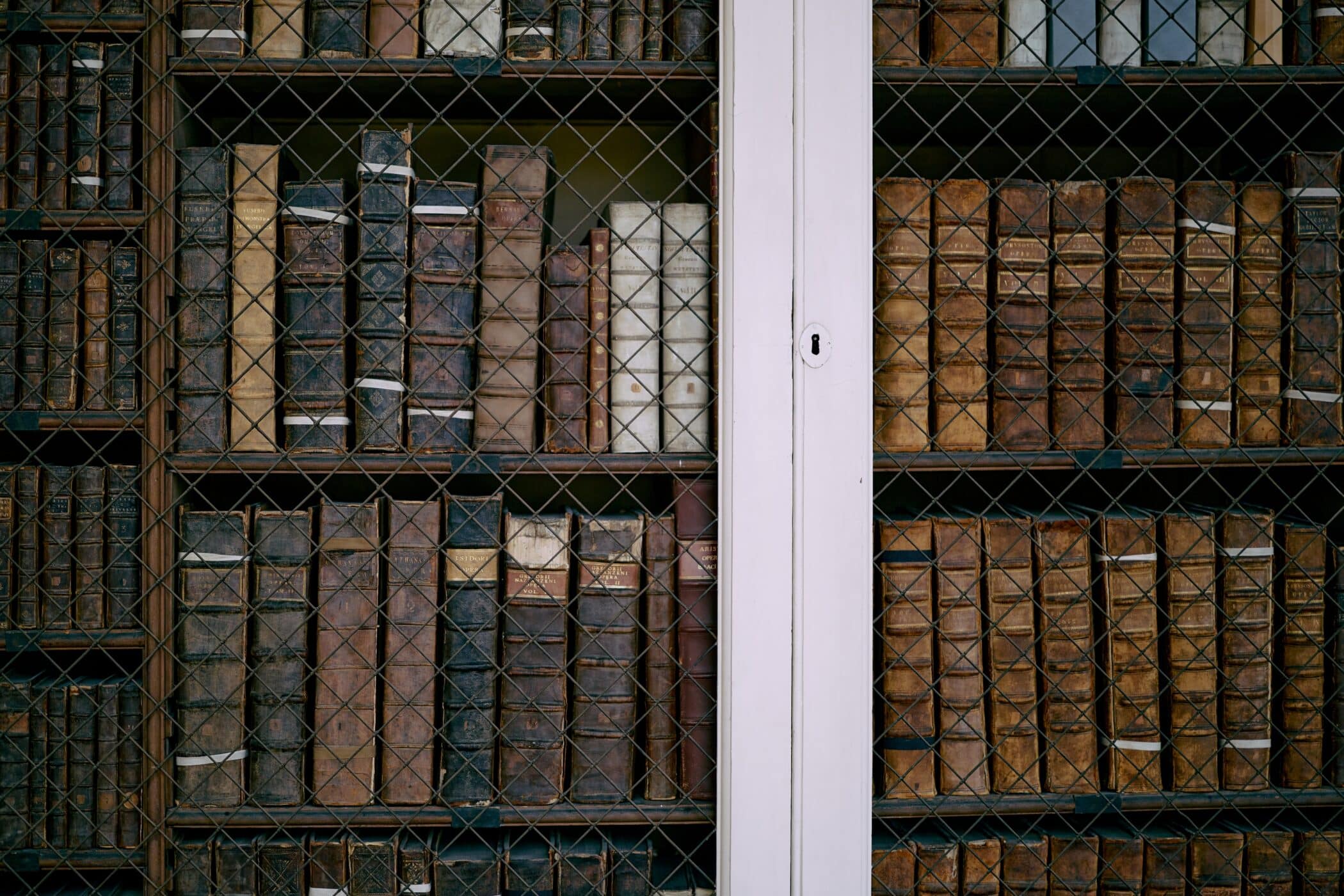 Leatherbound books behind metal grilles