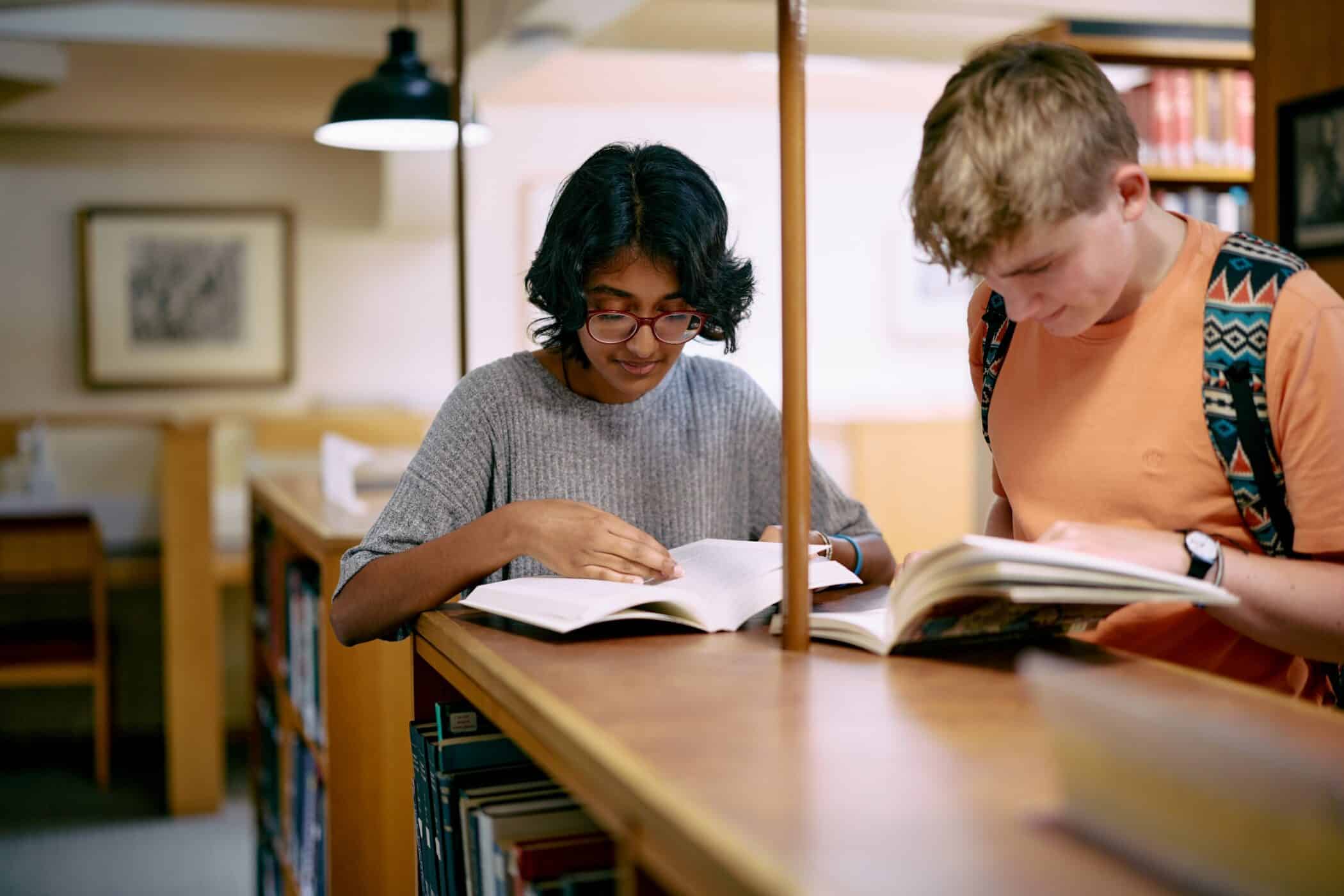 Students reading in the library