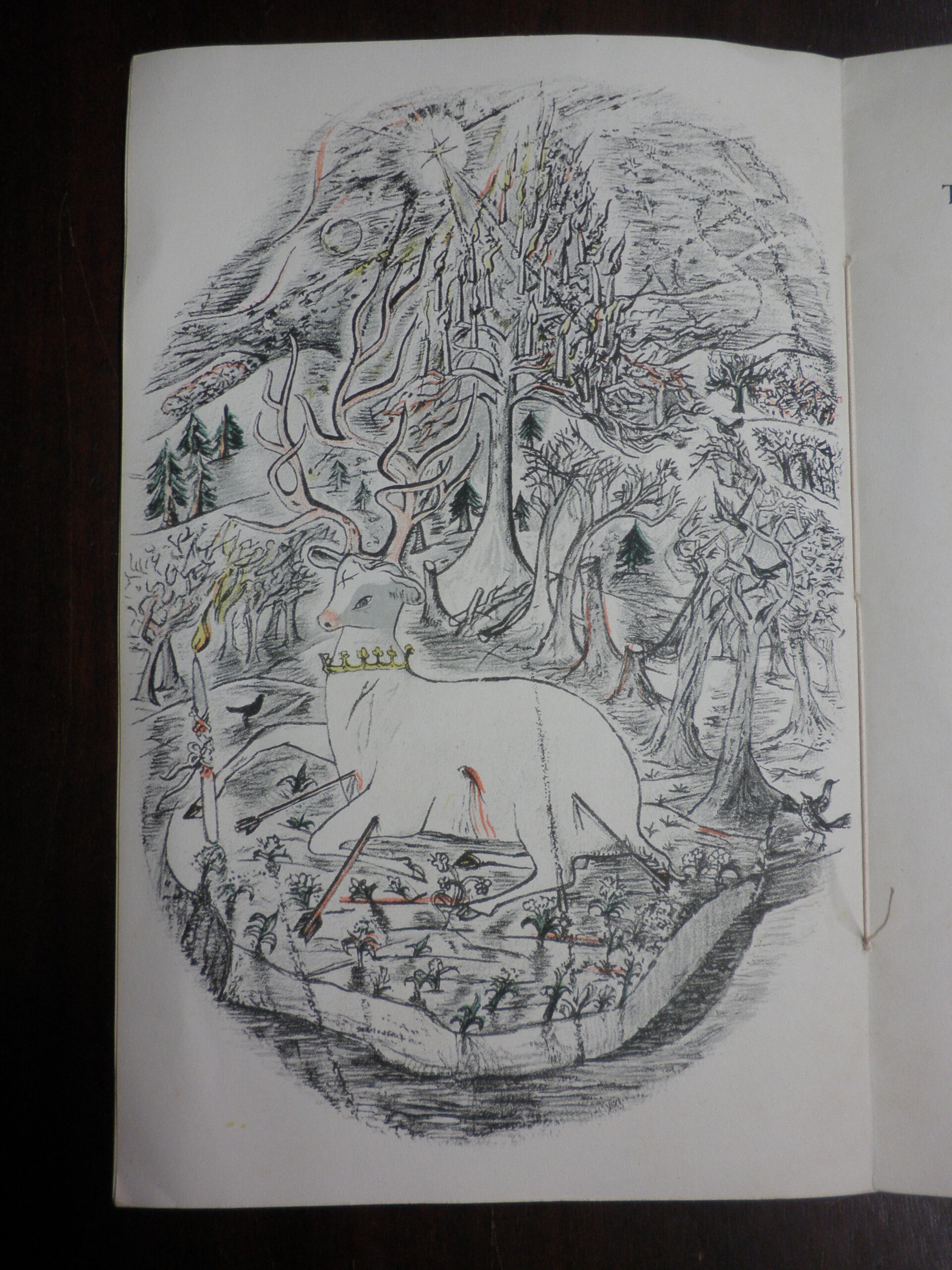 Black and white illustration with traces of colour. A stag pierced with arrows and with a crown around its neck is in the foreground. Behind is a Christmas tree decorated with candles, surrounded by forest. A star shines down from the top left.