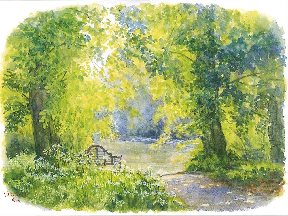 Watercolour illustration of lake and trees