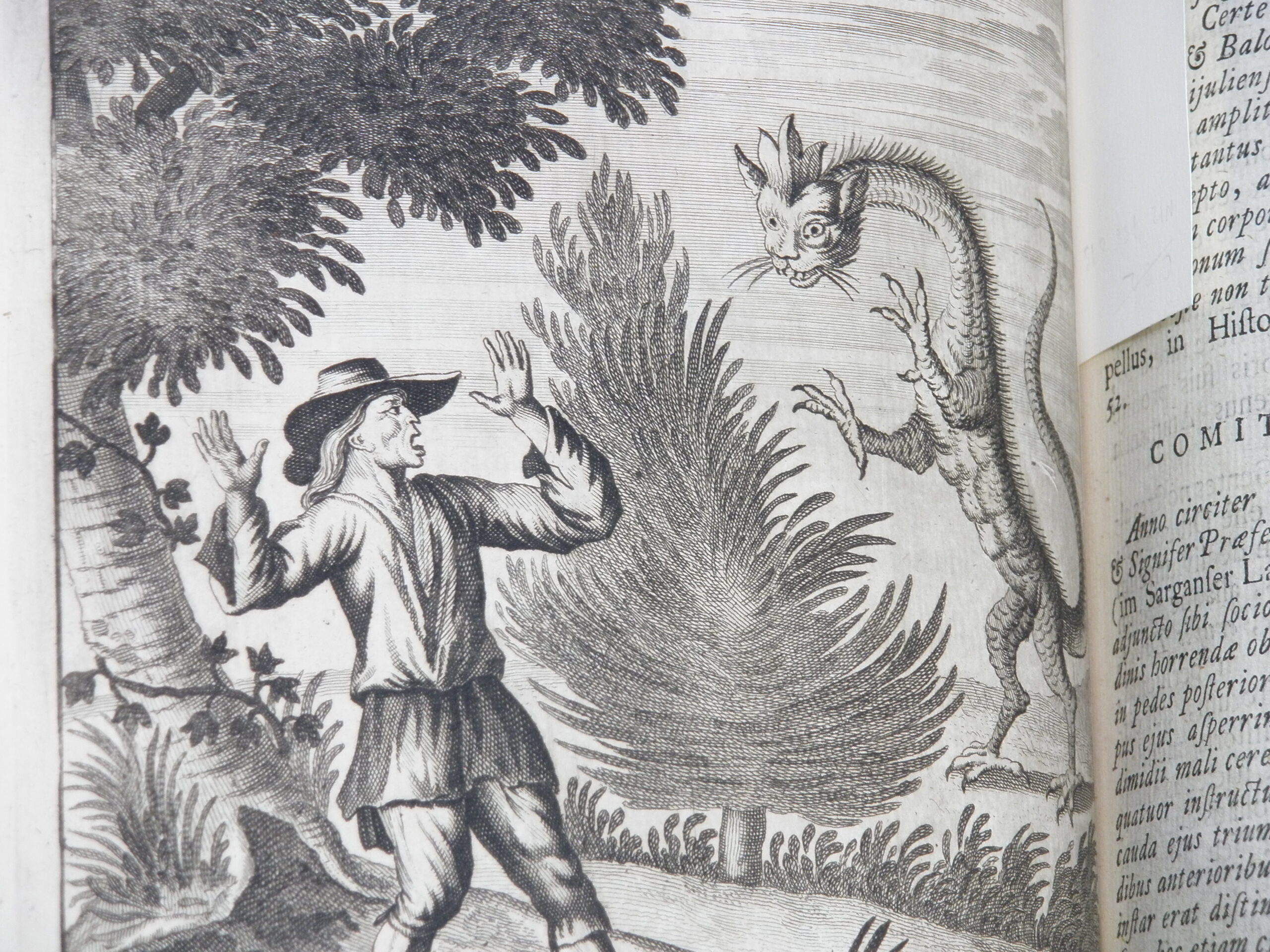 Black and white engraving of a man being startled by a dragon.