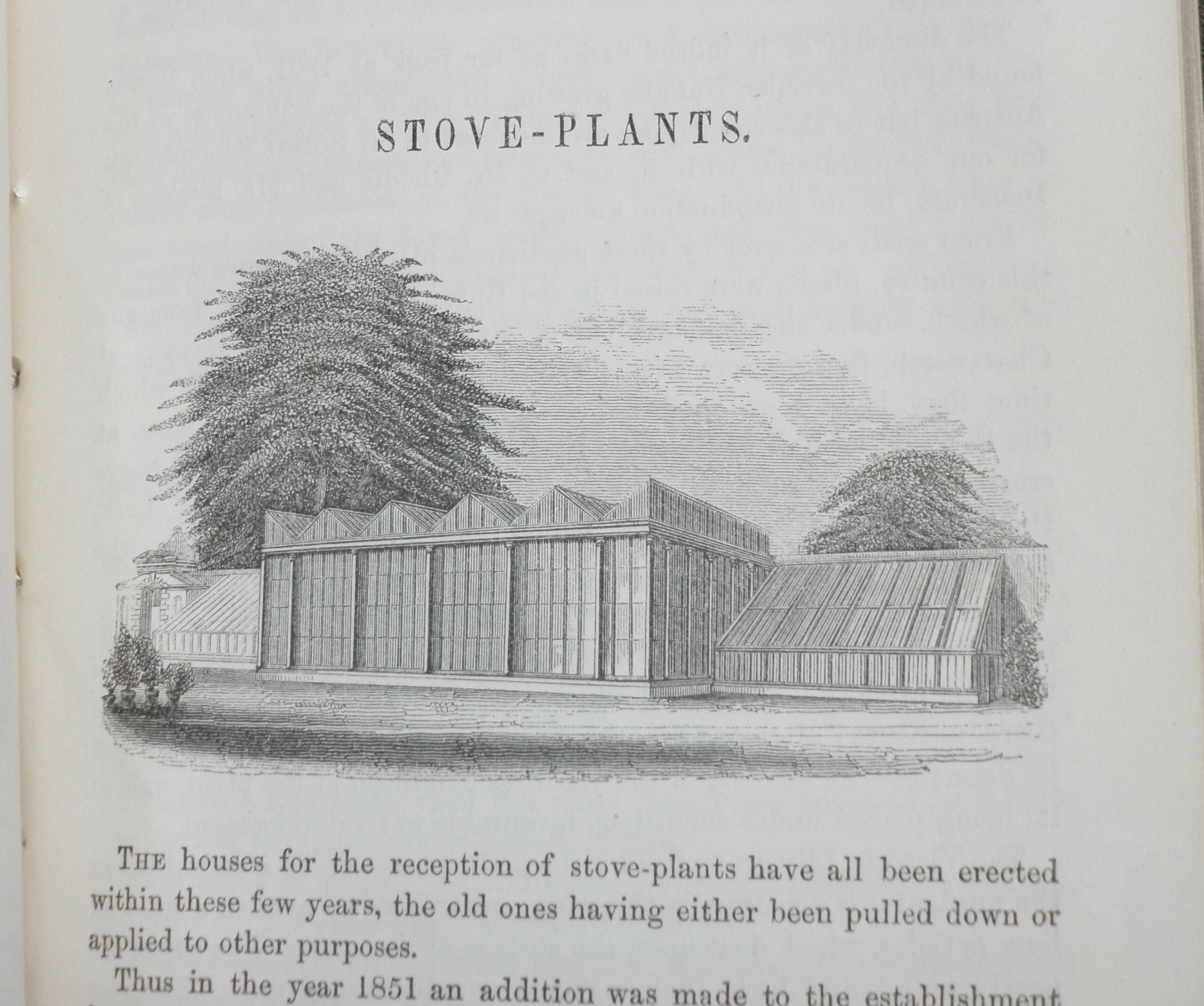Engraving depicting the hothouses in the garden, titled 'Stove-Plants'.