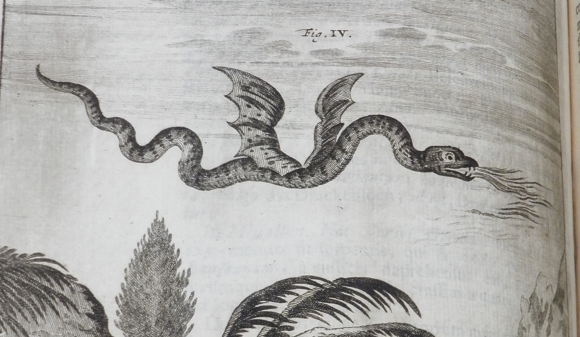 Black and white engraving of a flying dragon breathing fire.