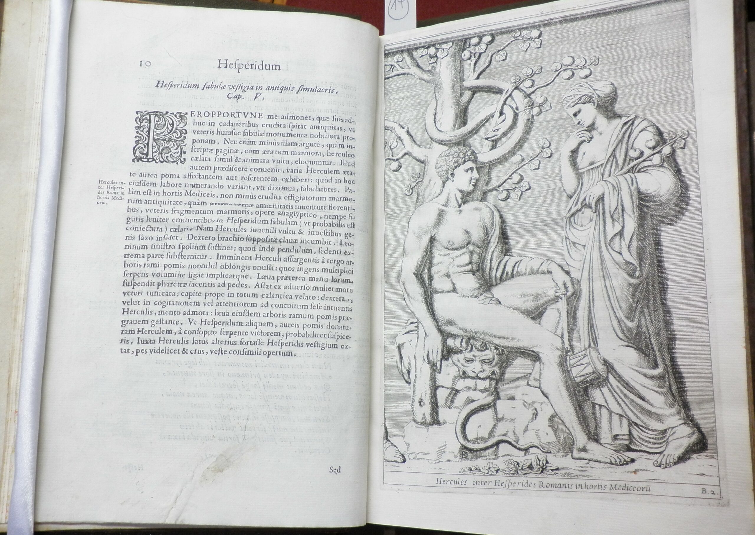 Engraving depicting Hercules in the Garden of the Hesperides.