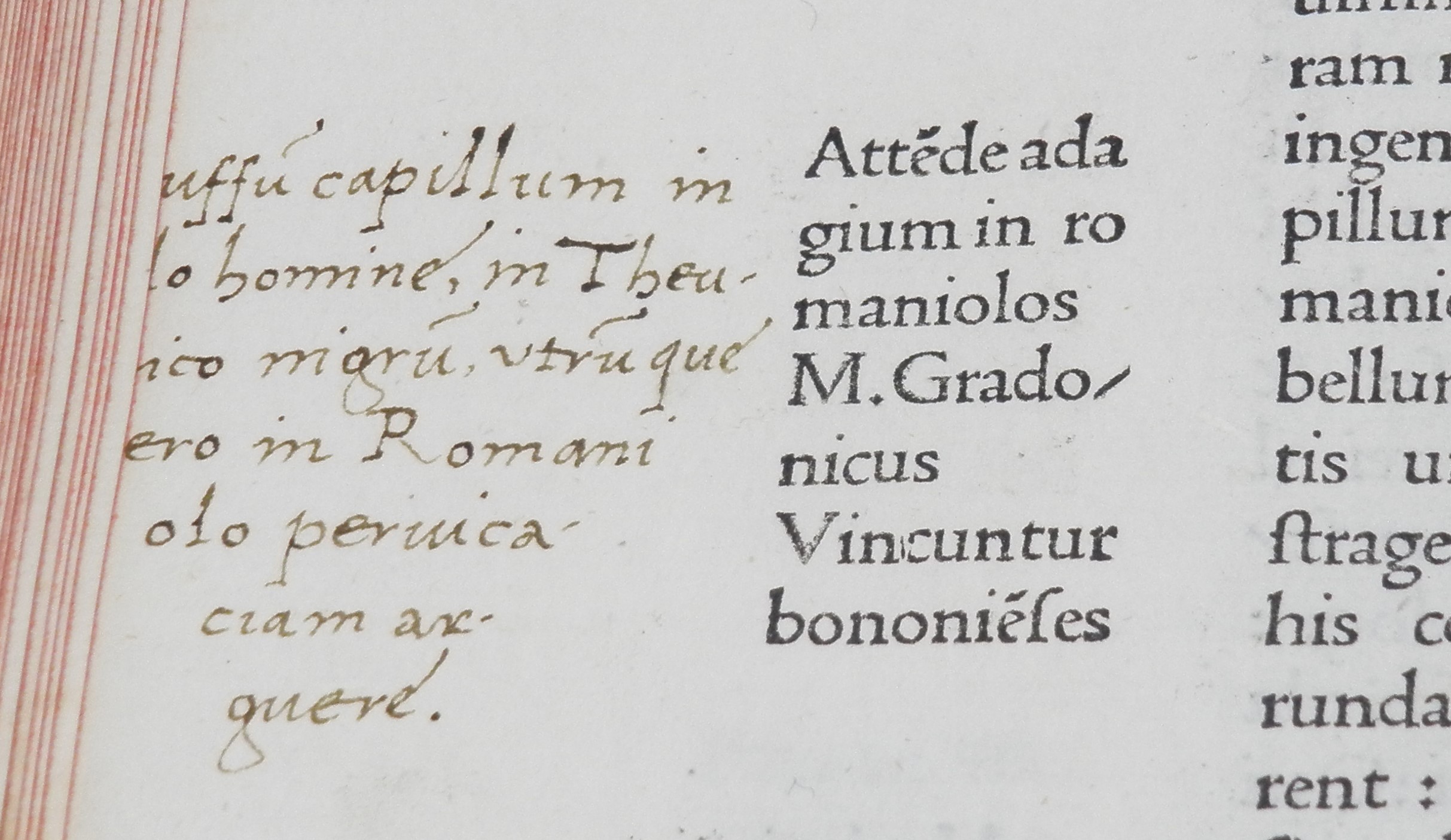 Detail of text showing marginalia.