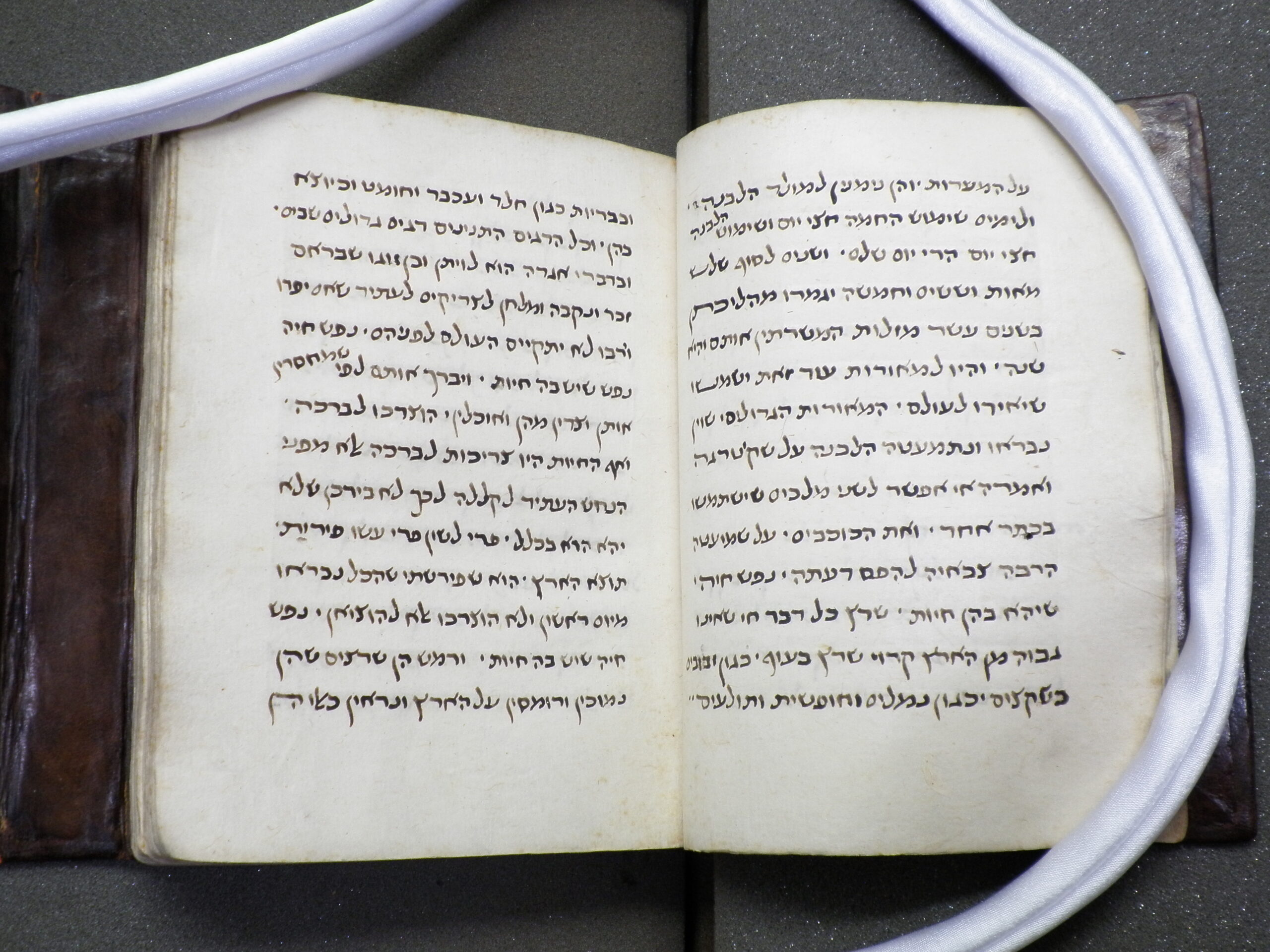 Pages of MS 10 showing Hebrew script.