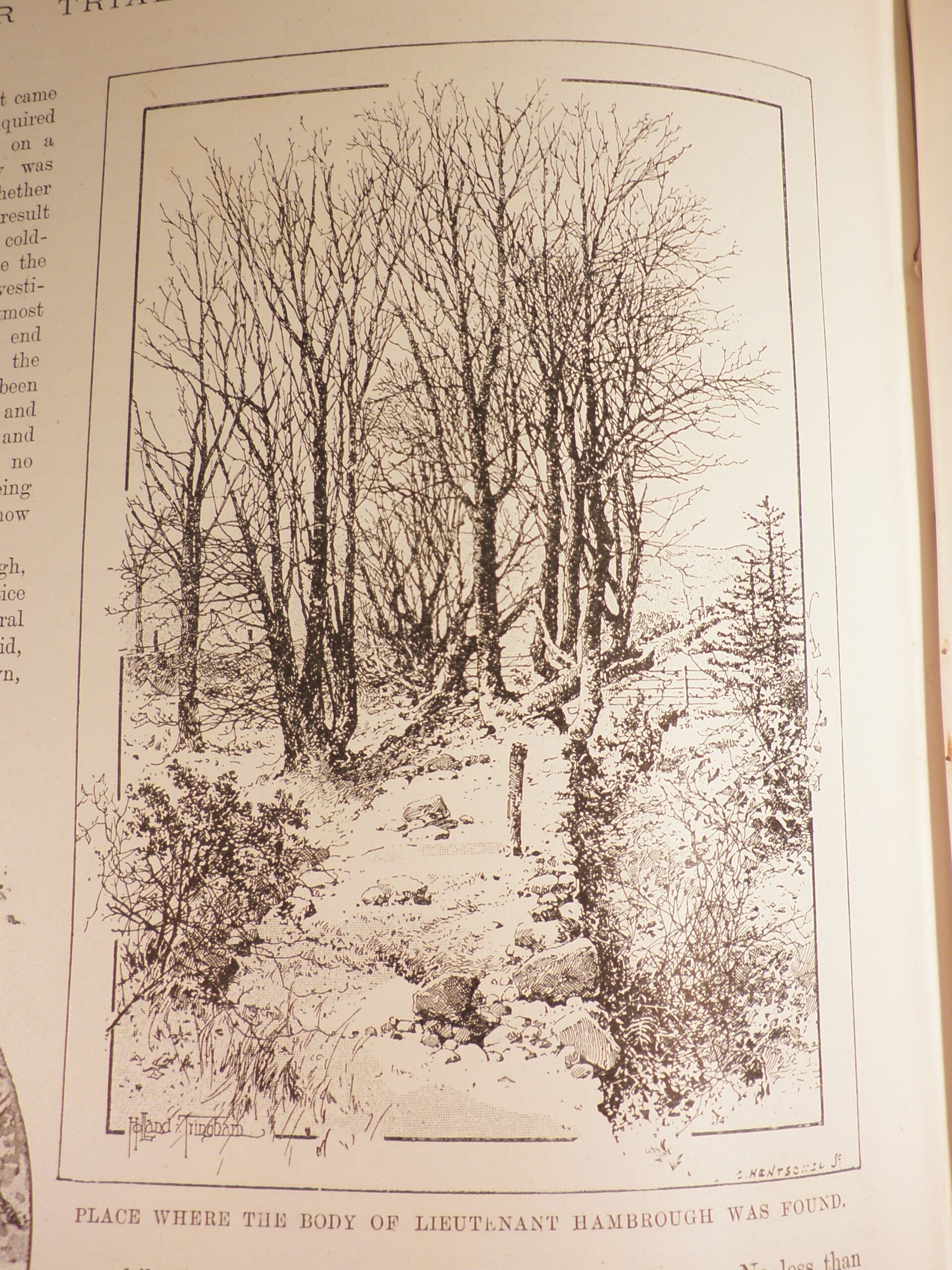 Engraved sketch of woodland.