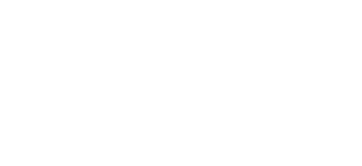 Disability Confident Committed