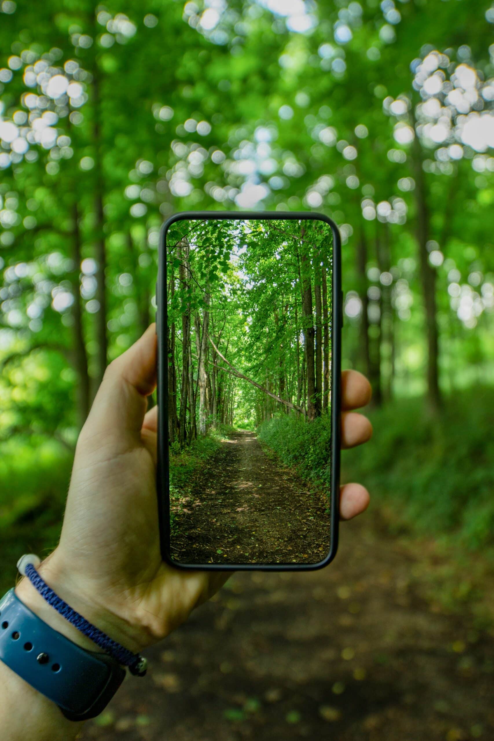 Using smartphone camera in a forest