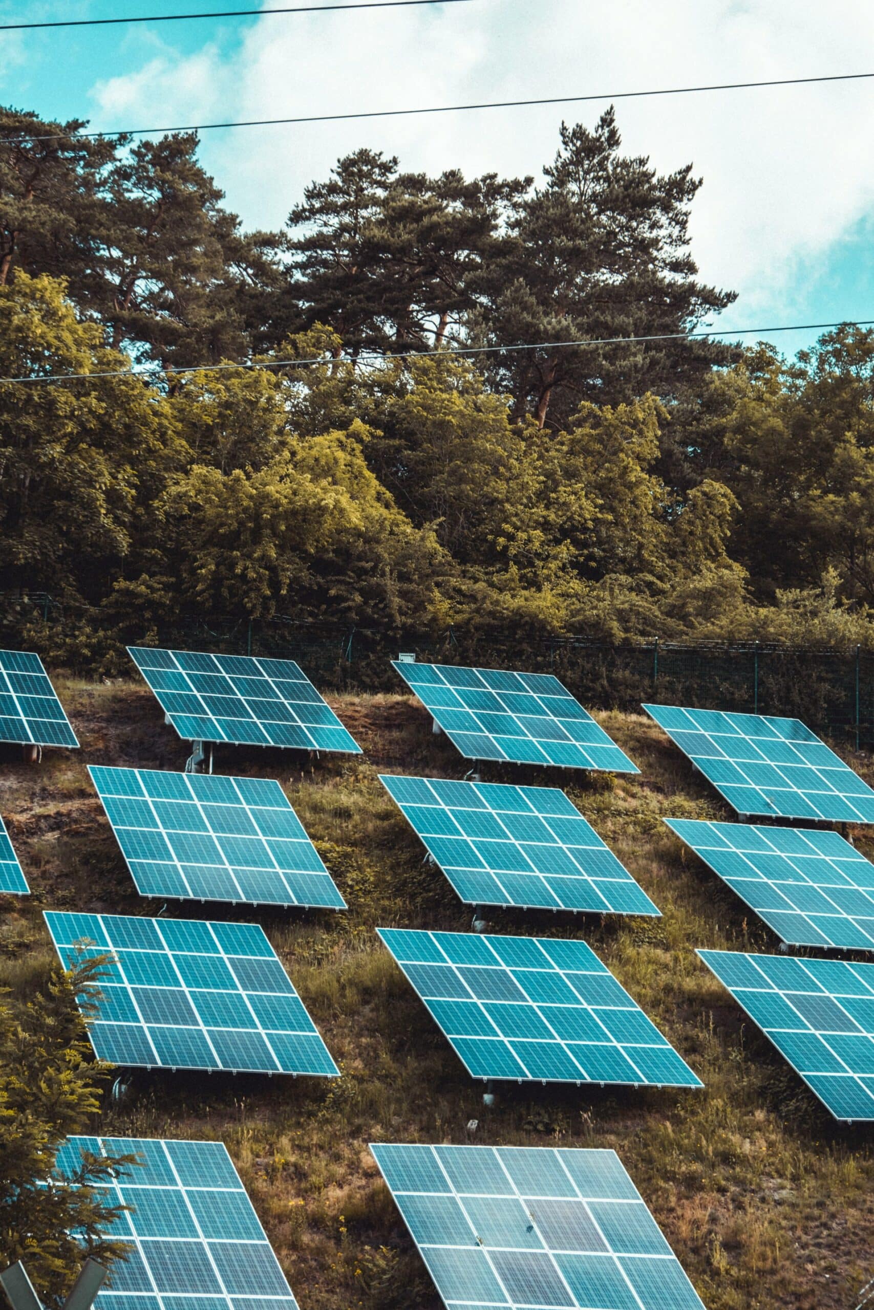 Solar panels on hillside