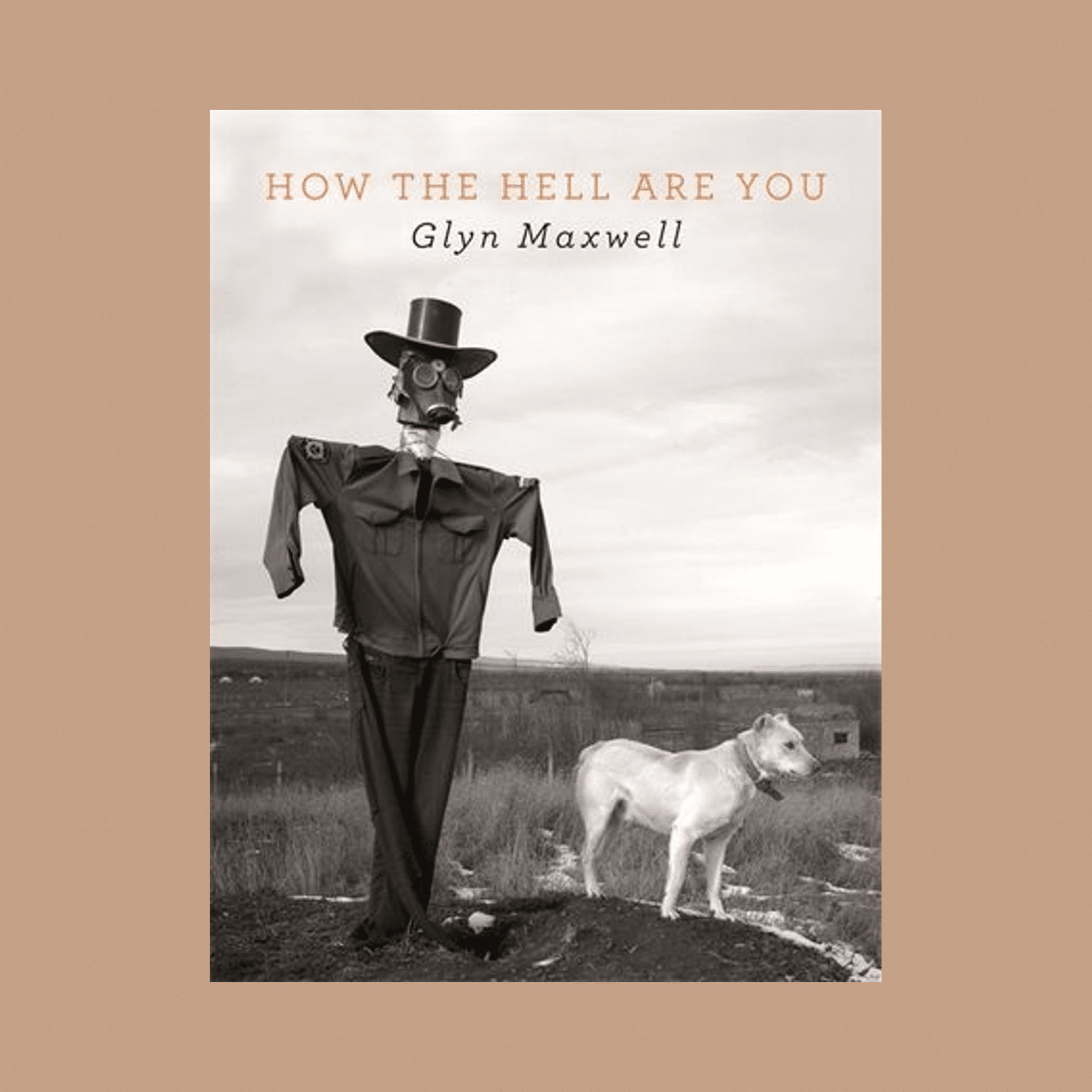 Cover of How the Hell Are You