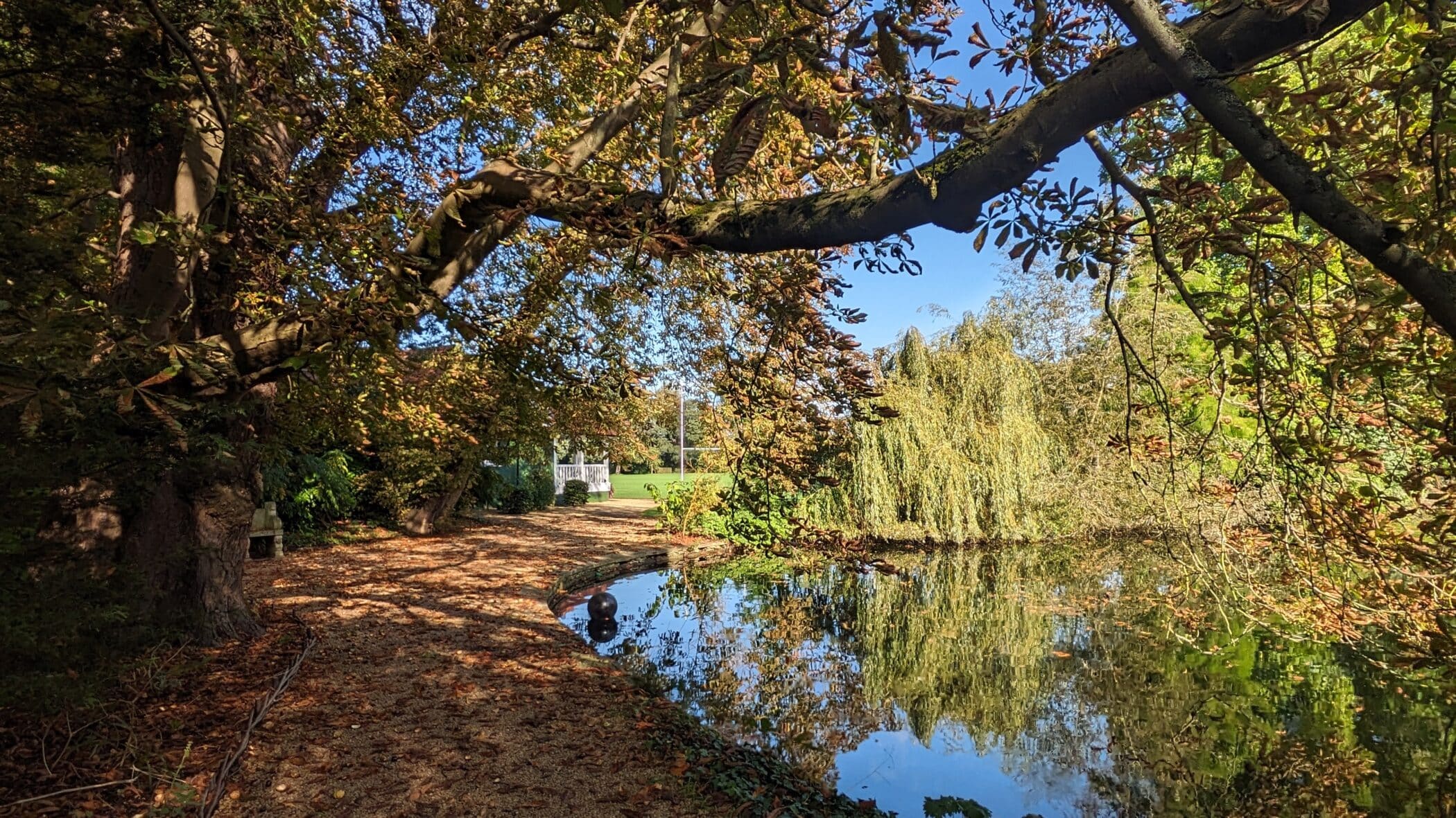 Lake with overhanging trees reflected