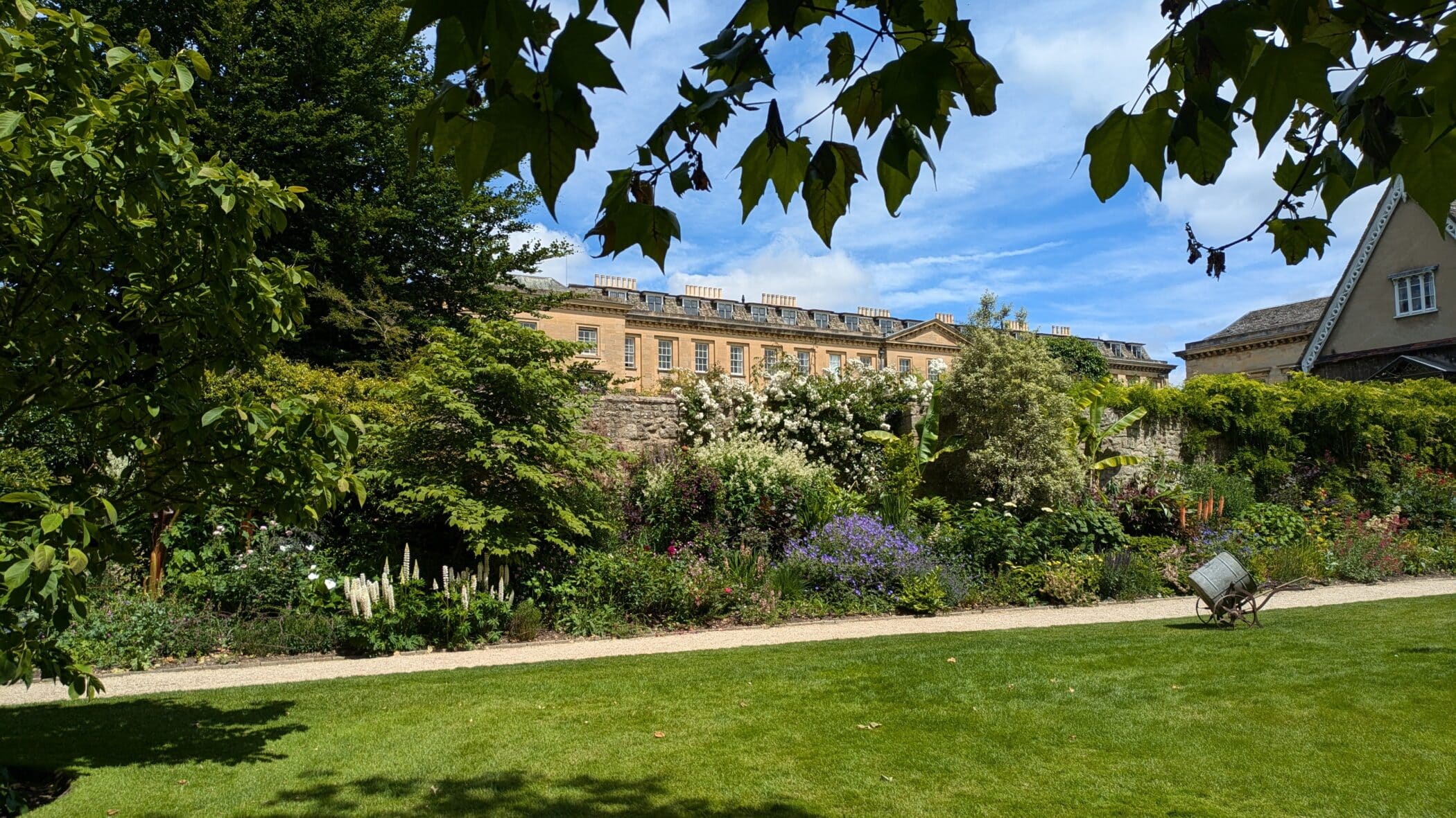 Buildings, garden border and lawn