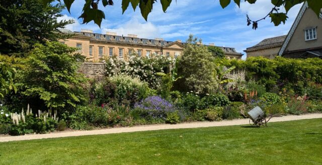 Buildings, garden border and lawn