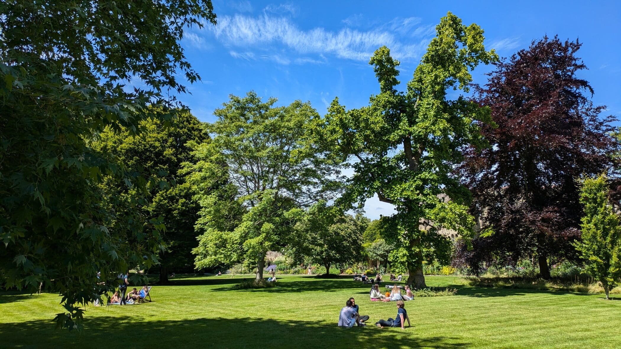 Students sat on lawn beneath trees in sunshine