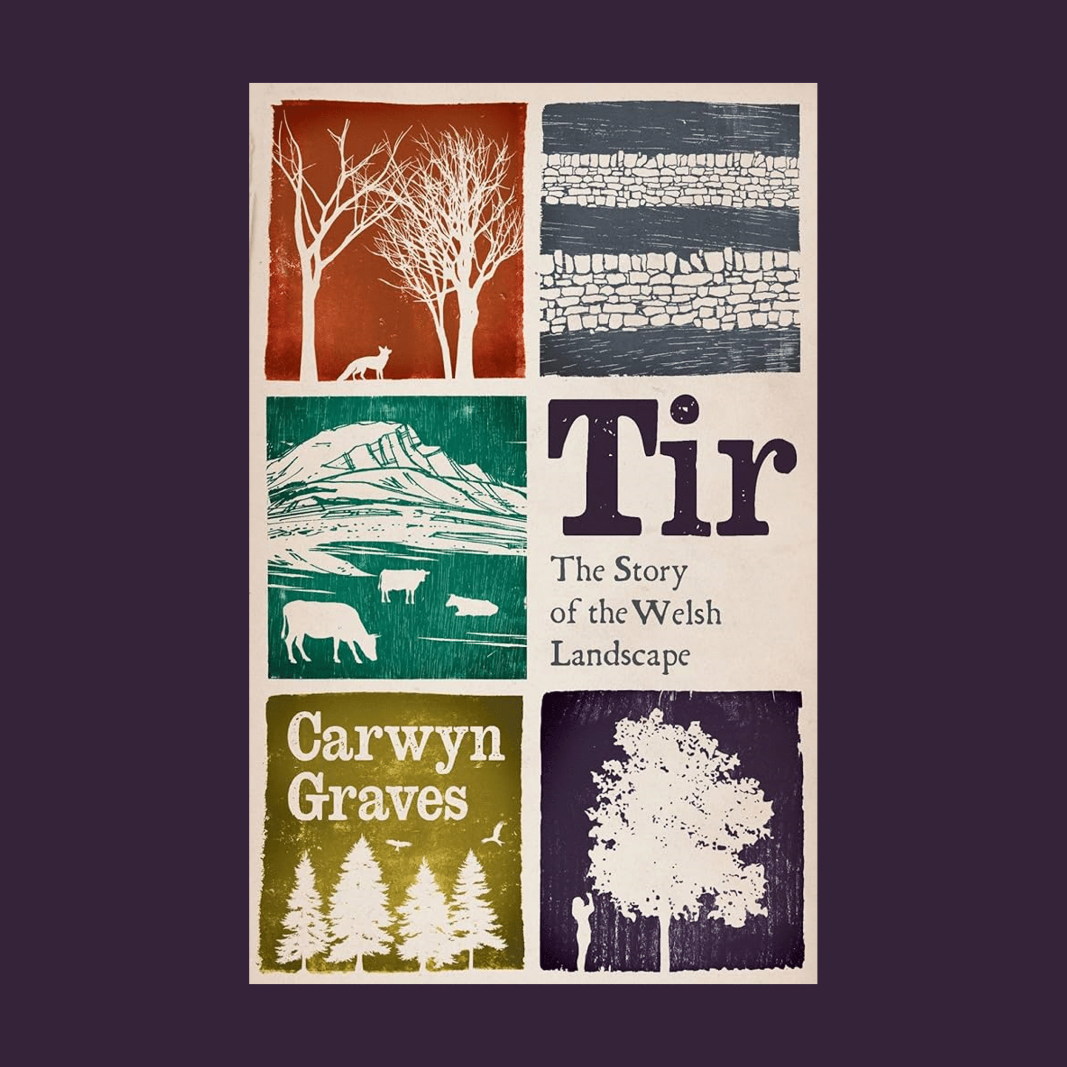 Cover of Tir: The Story of the Welsh Landscape
