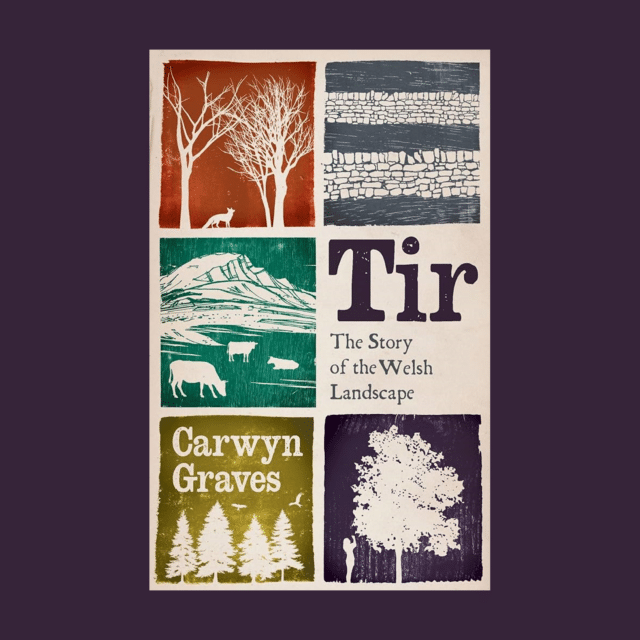 Cover of Tir: The Story of the Welsh Landscape