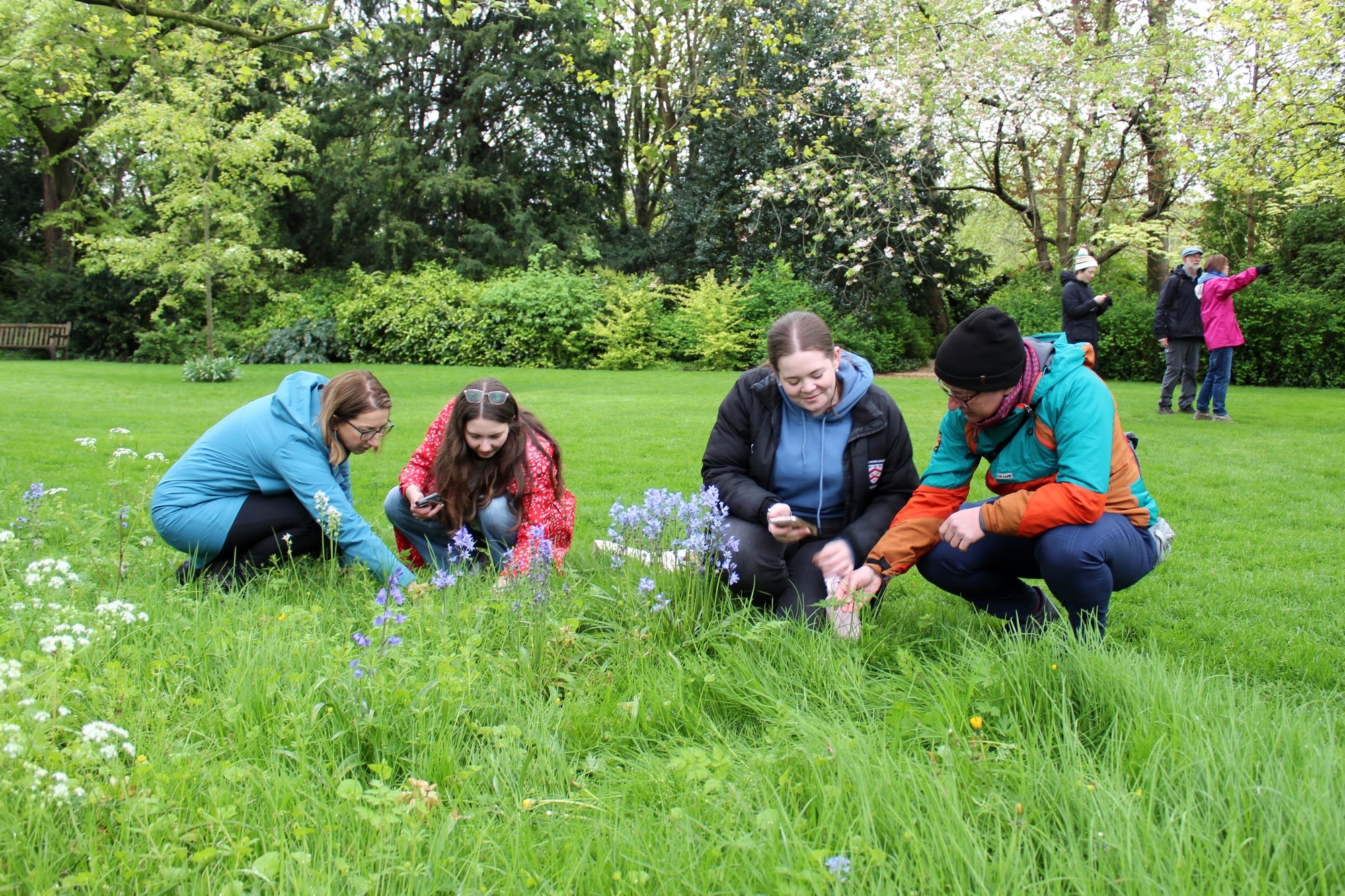Four people crouched in long grass taking photos of plants