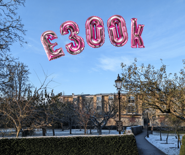 Orchard in winter with graphic of £300k in pink foil balloons