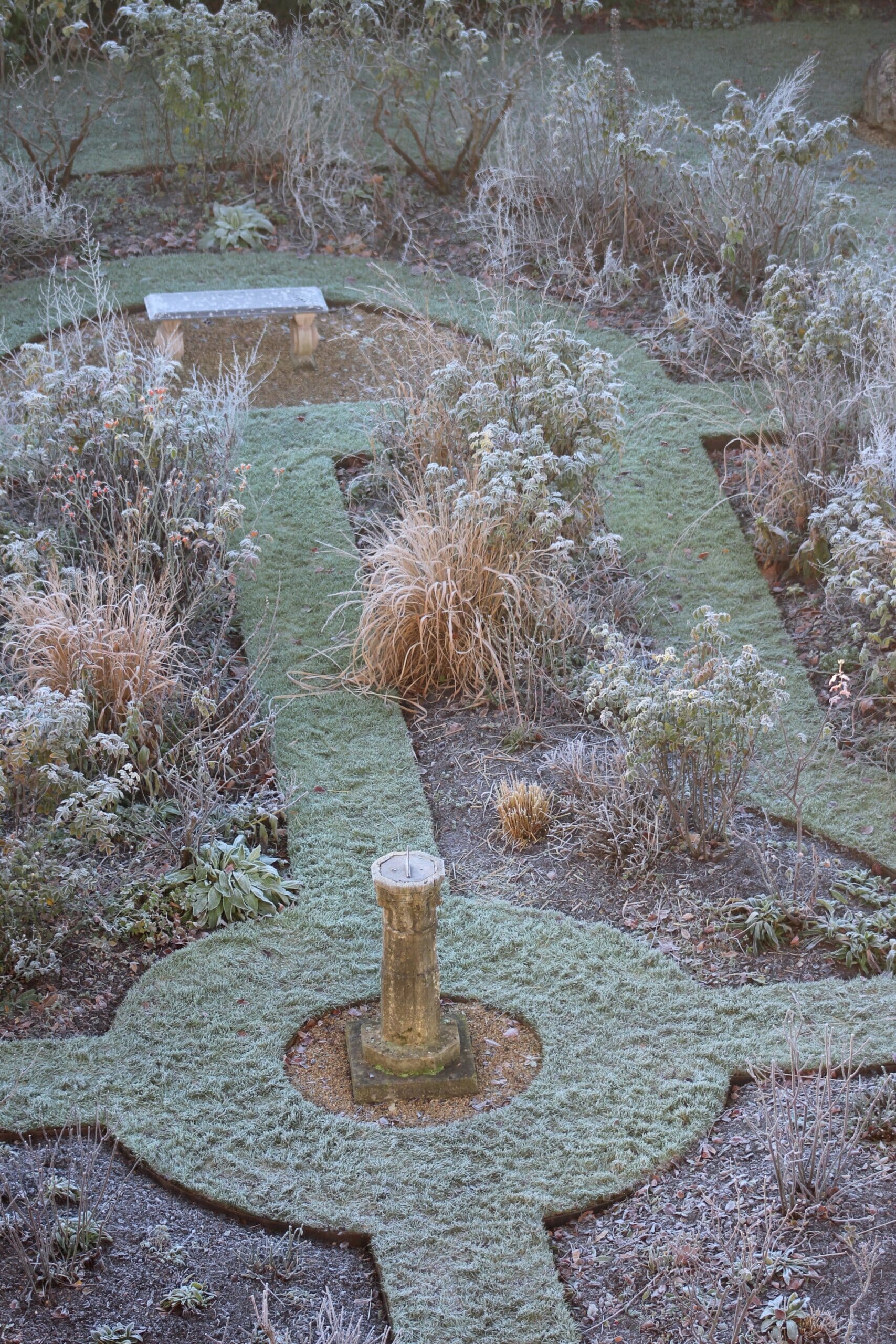 Elevated view of rose garden in frost