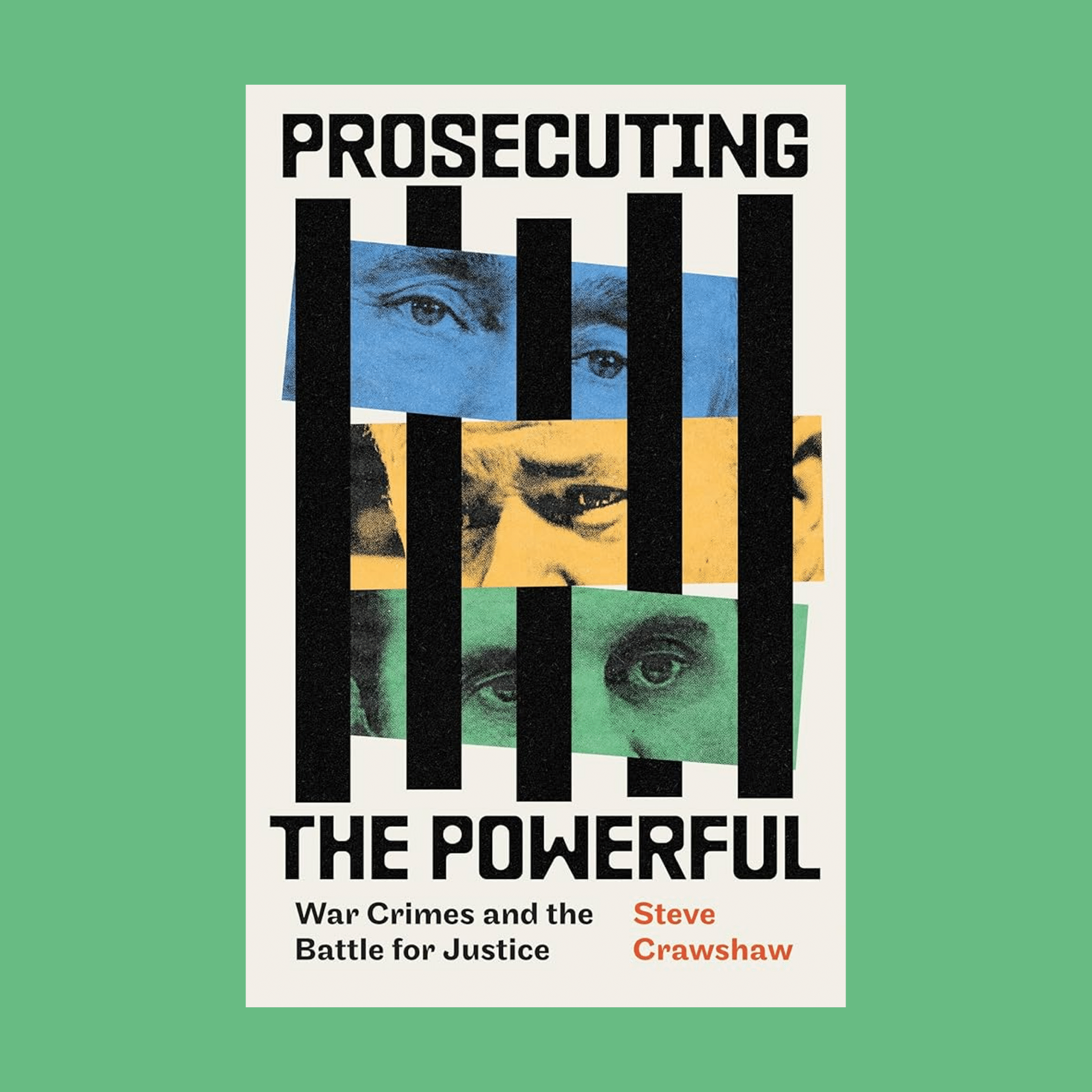 Cover of Prosecuting the Powerful