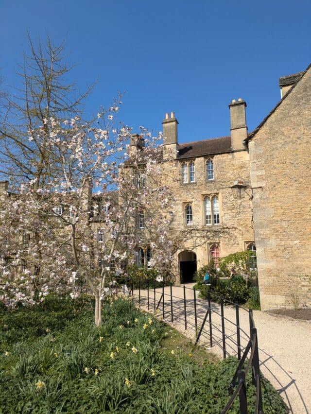 Cottages with blue sky and magnolia