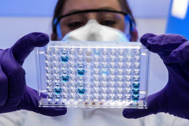 Scientist reviewing plate with serological test samples